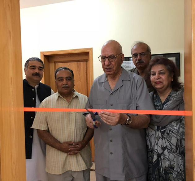 NSF founders and team